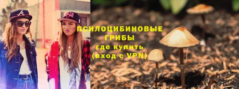 Галлюциногенные грибы MAGIC MUSHROOMS  наркота  Лениногорск 